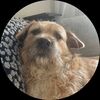 gabbycooper0425